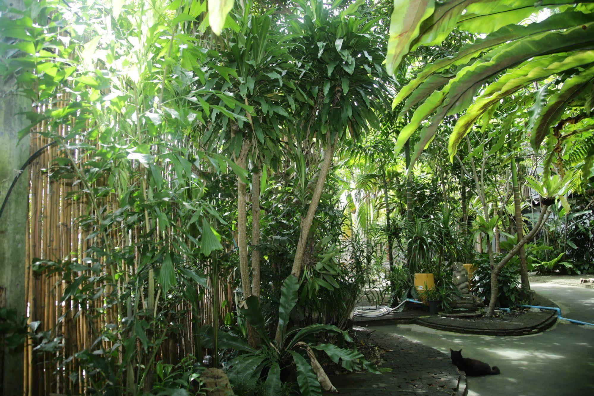 Oyo 585 Freedom Hostel @ Phi Phi Екстериор снимка