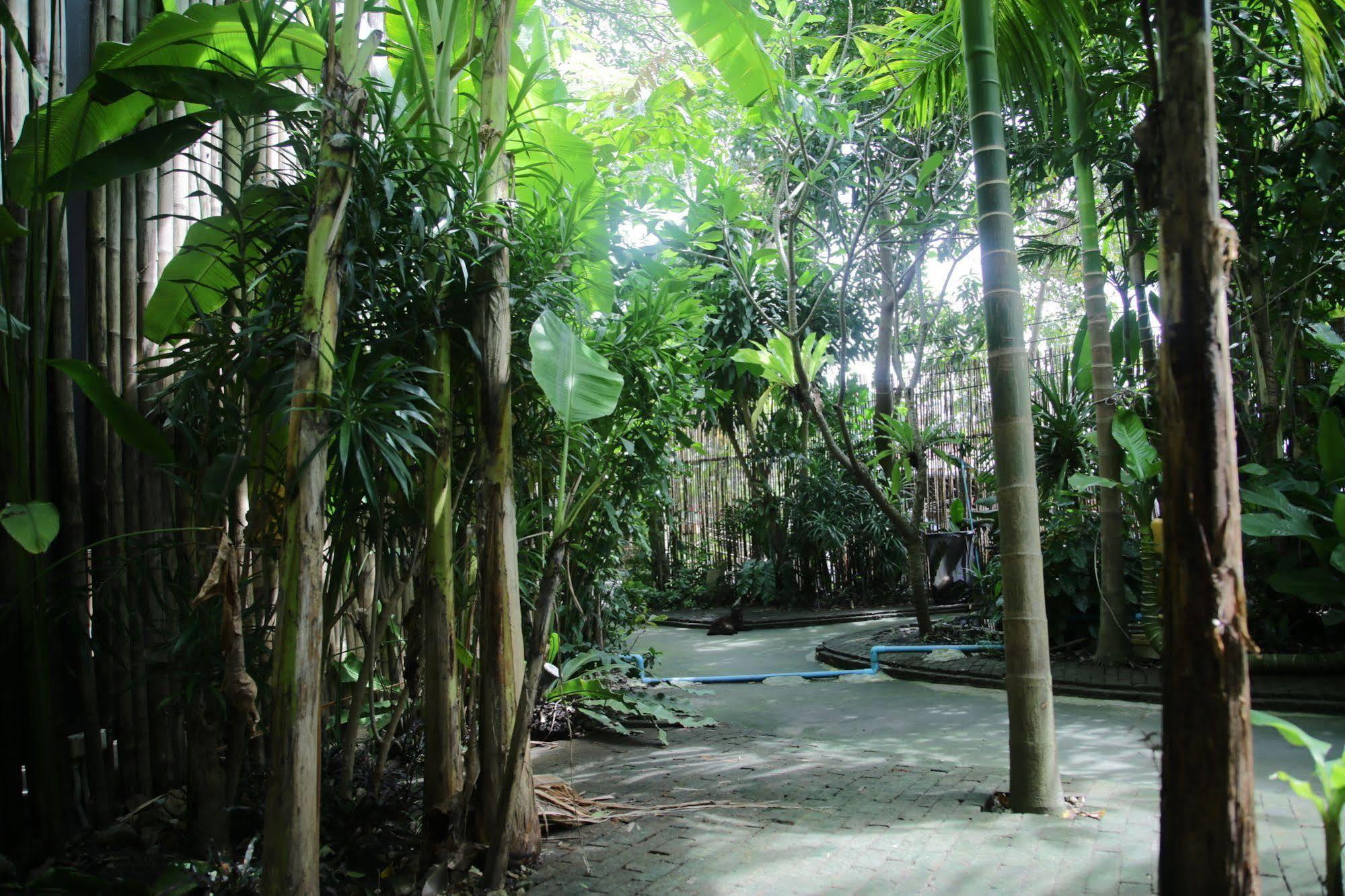 Oyo 585 Freedom Hostel @ Phi Phi Екстериор снимка
