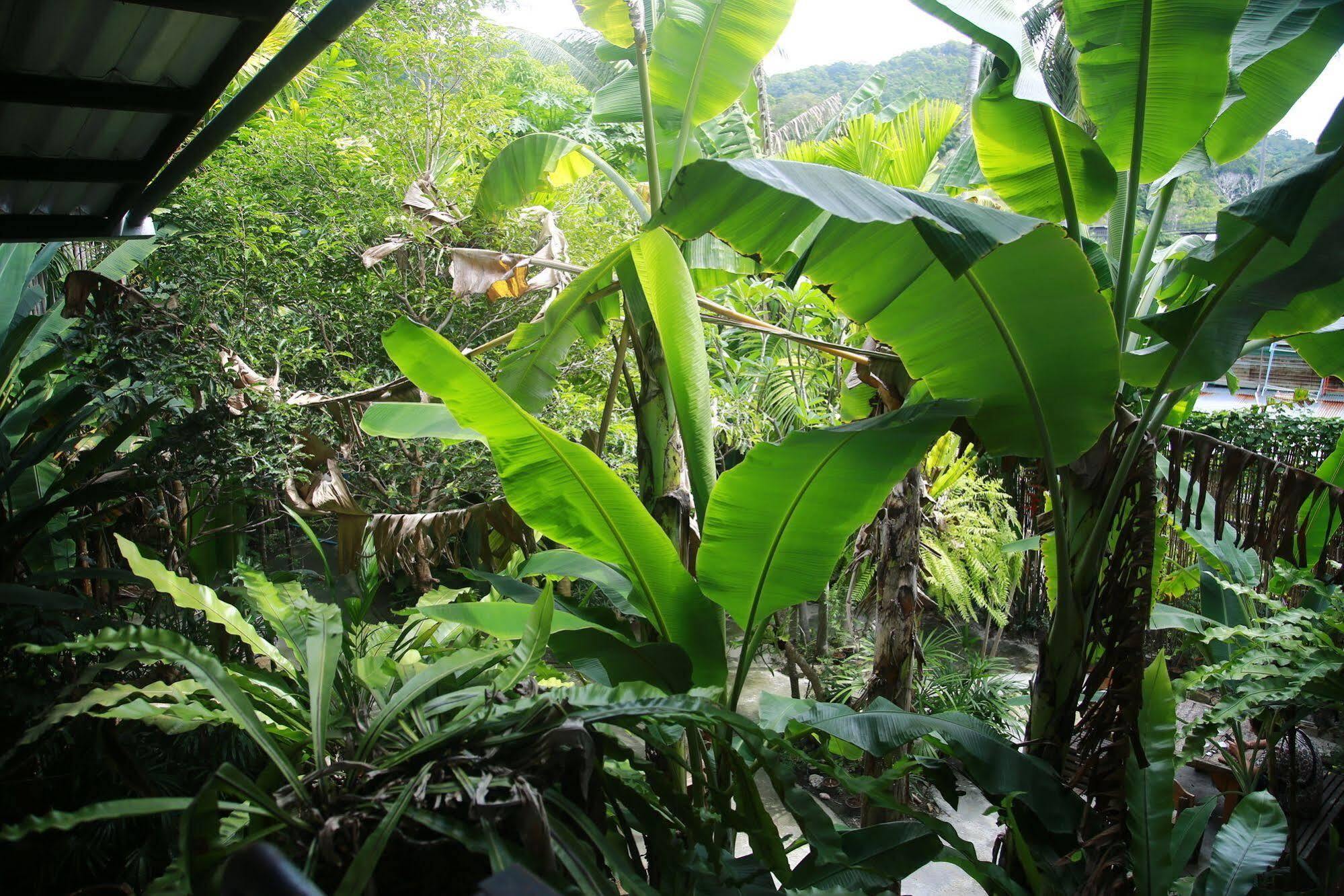 Oyo 585 Freedom Hostel @ Phi Phi Екстериор снимка